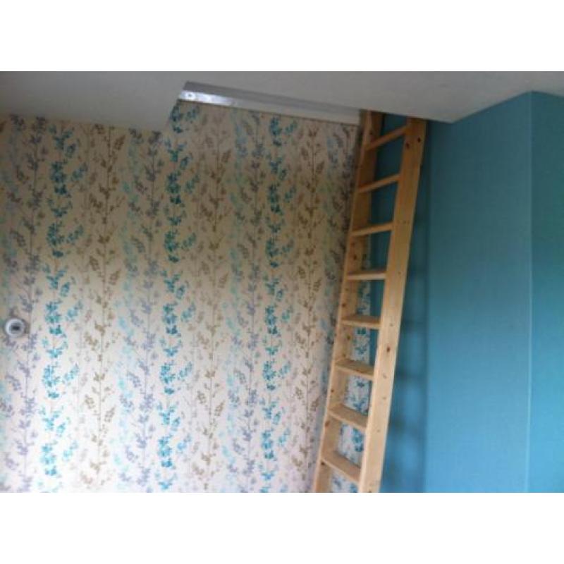 behanger wateringen haarlem utrecht amsterdam rotterdam