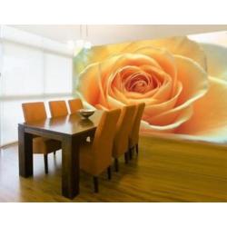 Fotobehang Rose No.14395 Orange 400x280cm voor €45