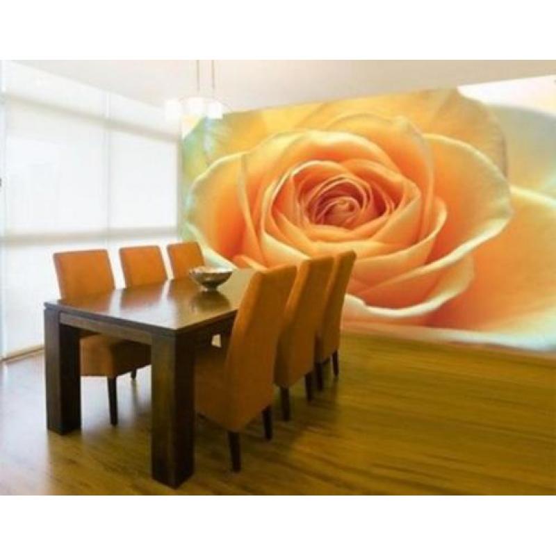 Fotobehang Rose No.14395 Orange 400x280cm voor €45
