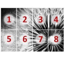 aanbieding Fotobehang 400x280cm dandelion voor €55