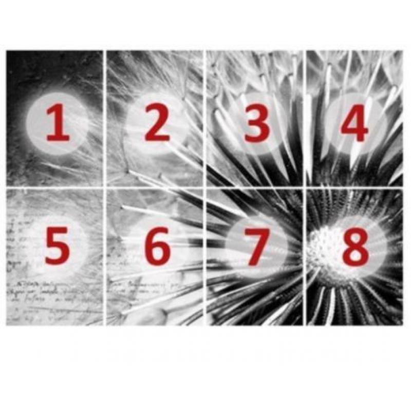 aanbieding Fotobehang 400x280cm dandelion voor €55