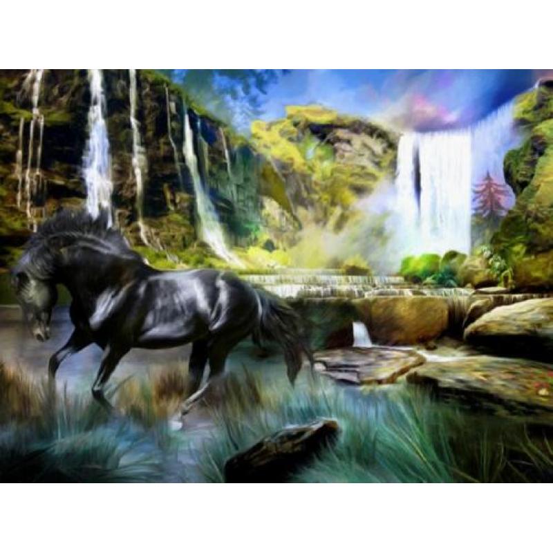 Fotobehang Paard bij de waterval, paarden VLIESbehang