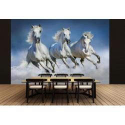 Fotobehang Paard bij de waterval, paarden VLIESbehang