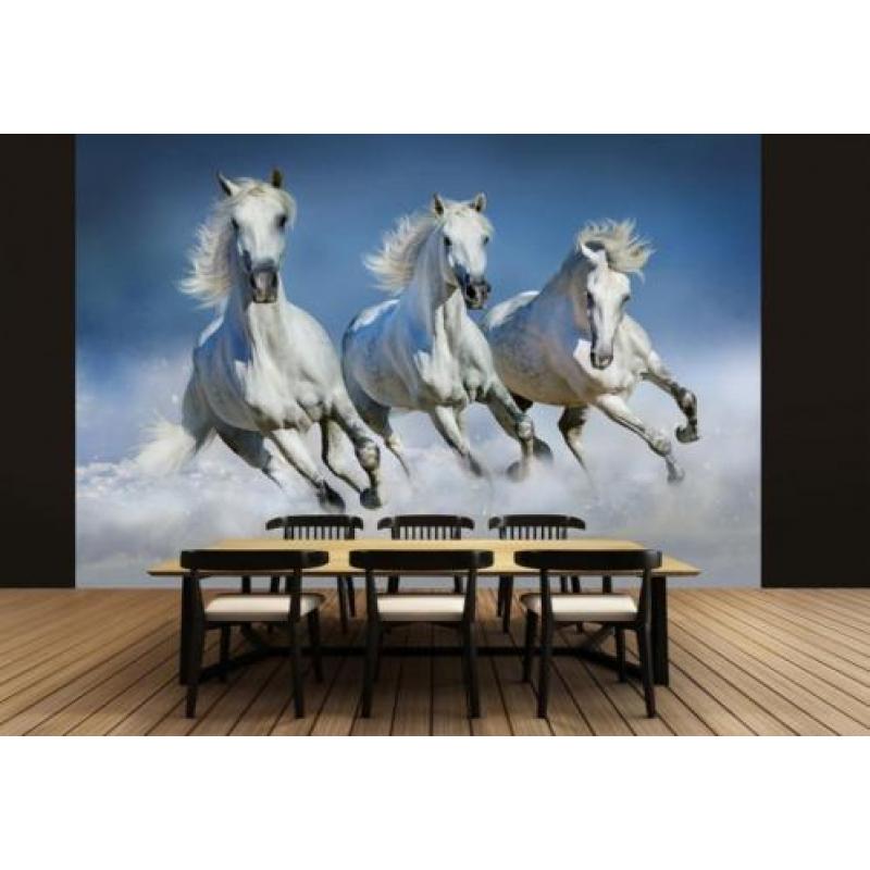 Fotobehang Paard bij de waterval, paarden VLIESbehang