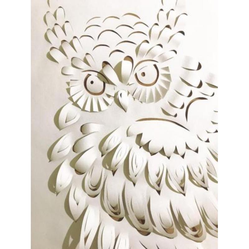 Uilen behang papercut met 3D effect