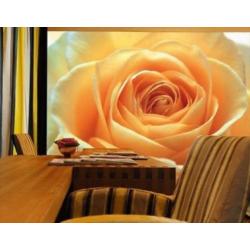 Fotobehang Rose No.14395 Orange 400x280cm voor €45